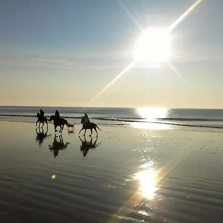 F2 Renove En 2019 A 350m De La Plage Lejlighed